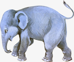 卡通绘画蓝色的大象动物素材