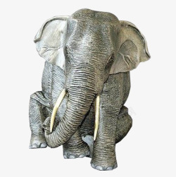 大象动物图素材