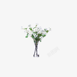 欧美流行插花绿植物鲜花软装素材