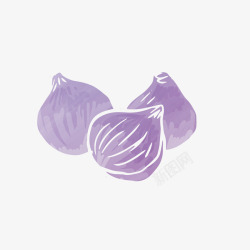 紫色大蒜背景矢量图素材