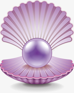 美丽精致的紫色珍珠素材