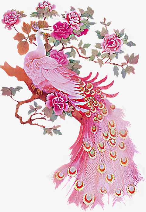孔雀牡丹图png免抠素材_88icon https://88icon.com 大气 孔雀 富贵 牡丹