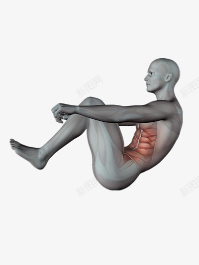 人体肌肉图png免抠素材_88icon https://88icon.com 人体3D 人体解剖 肌肉分布 运动