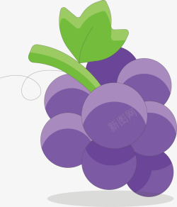 紫色提子紫色葡萄卡通插画矢量图高清图片