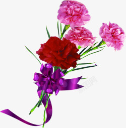 紫色温馨康乃馨花束素材