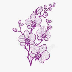 手绘紫色兰花矢量图素材
