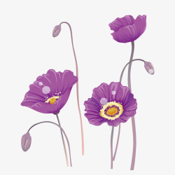 紫色小草枝干花朵素材
