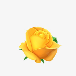 黄色浪漫玫瑰花矢量图素材