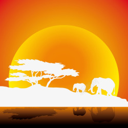 非洲大草原夕阳下的大象群素材