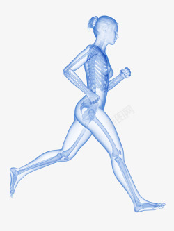 骨骼系统立体插画女人慢跑立体插画高清图片
