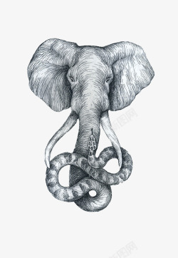 大象素描象头蛇鼻高清图片