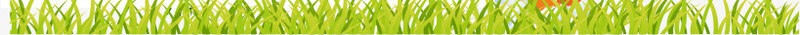 卡通动物世界河马大象树叶png免抠素材_88icon https://88icon.com 动物世界 卡通的动物 卡通的河马 平面动物 绿色树叶