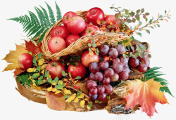 食物素描手绘水果组合素材