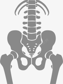 灰色医学骨骼特写素材