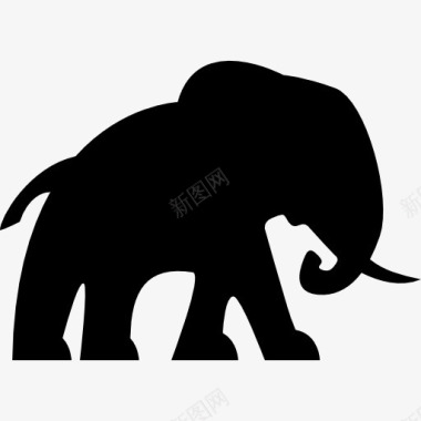 纯野生大象面朝右图标图标