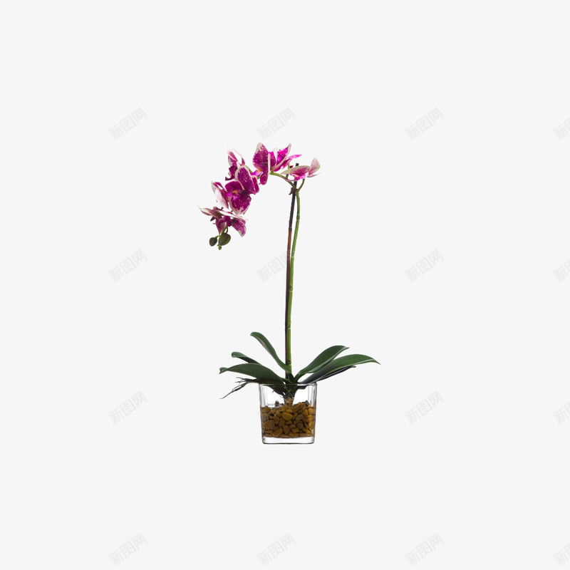 欧美流行插花绿植物鲜花软装png免抠素材_88icon https://88icon.com 大气 概念方案装饰 欧美软装设计方案素材 玻璃瓶 精美 精致 美化艺术 软装 软装设计 软装配饰 高品质 高精度 高质量