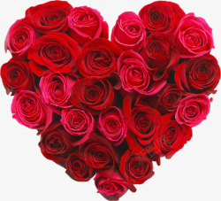红玫瑰爱心红玫瑰粉玫瑰高清图片