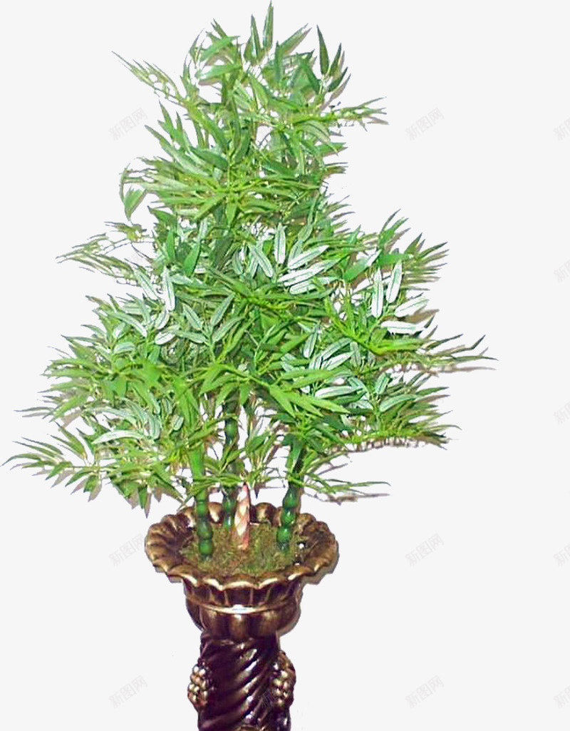 绿色植物png免抠素材_88icon https://88icon.com 3D贴图 效果图 效果图元素 盆景 绿化 绿植 绿色植物