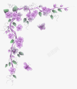 紫色花朵藤蔓素材
