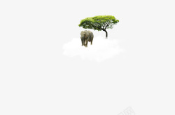 动物非洲草原大象素材