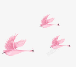 粉色手绘天鹅装饰图案素材