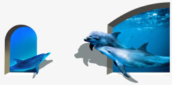 3D墙画蓝色海豚素材