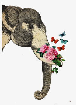 大象嘴里的花与蝴蝶素材