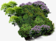 创意花园草丛紫色花朵素材