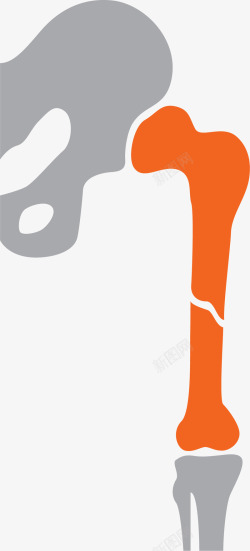 橙灰色人体骨骼连接处素材