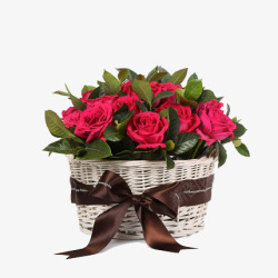 花篮花器红色玫瑰高清图片