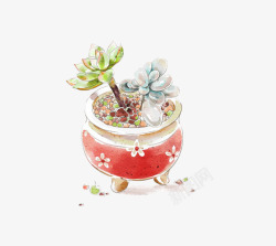 小清新插画广告卡通多肉盆栽素材