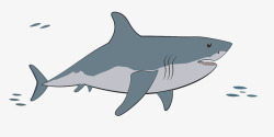 一条手绘灰色鲨鱼矢量图素材
