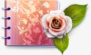 矢量目录册可爱的目录单证册花爱玫瑰植物情高清图片