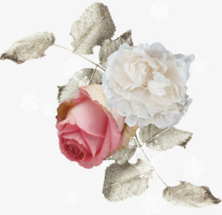 粉色玫瑰花朵白花卉白灰色树叶素材