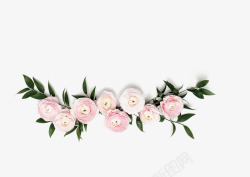 西式花纹玫瑰花拍照框高清图片