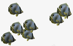 生物3d鱼类卡通鱼群素材