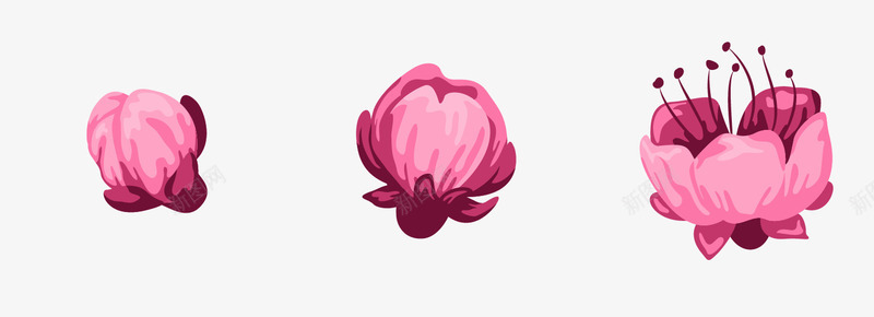 卡通手绘梅花png免抠素材_88icon https://88icon.com 一朵梅花 卡通 手绘 梅花 植物 紫色 花苞 花蕊 花蕾