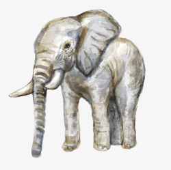 油画手绘大象可爱动物手绘素材