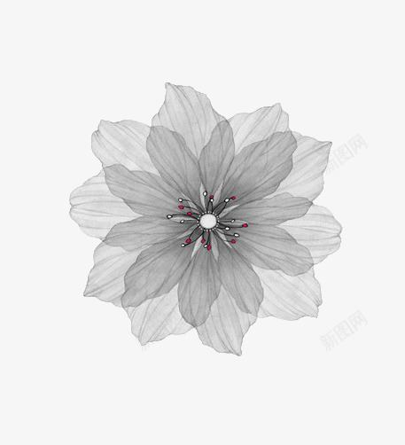 灰色简约花朵png免抠素材_88icon https://88icon.com 简约素材 花朵 装饰图案