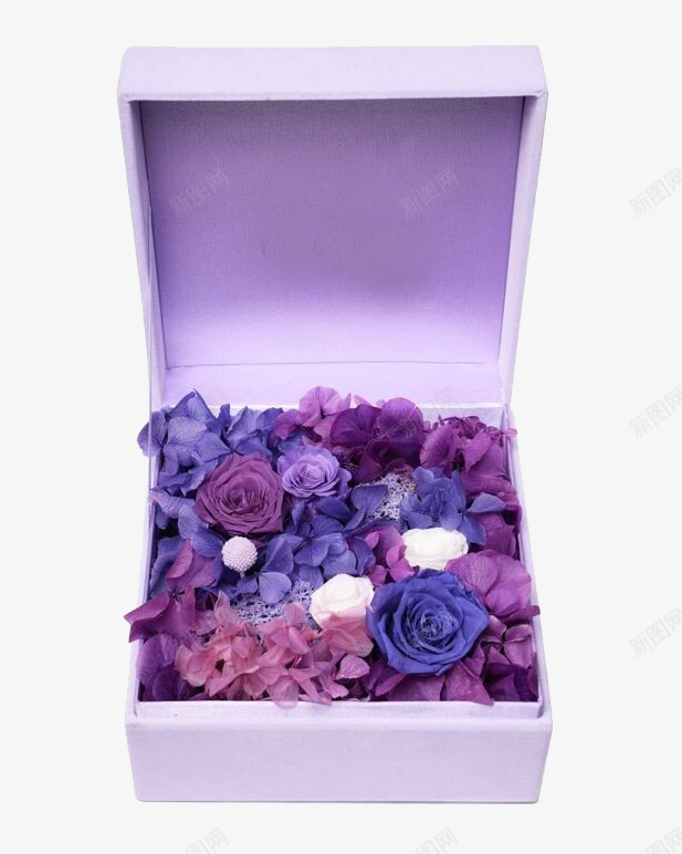 紫色生花礼盒方形绒布花盒png免抠素材_88icon https://88icon.com 永生花 礼物 紫色 花朵素材 花盒