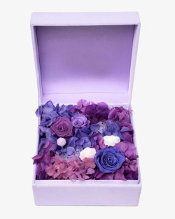 紫色生花礼盒方形绒布花盒素材
