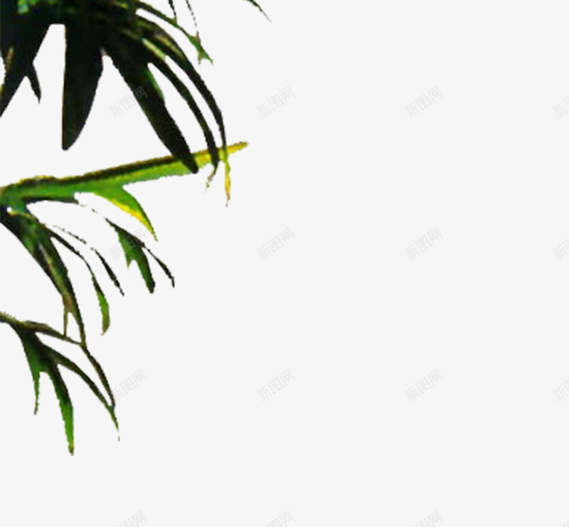 植物png免抠素材_88icon https://88icon.com 3D效果图处理 PS后期处理 室内效果元素 植物 绿色植物