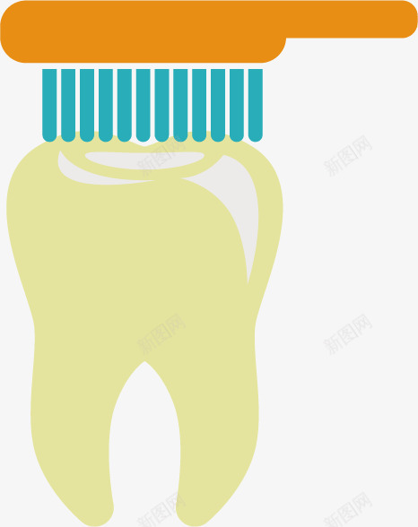 牙科洗牙清洁形象图png免抠素材_88icon https://88icon.com 洗牙 清洁 牙齿