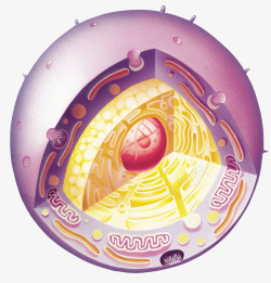 生物微球紫色球体细胞立体插画高清图片