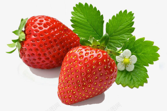 草莓3d水果图案卡通3d水果草莓图标图标