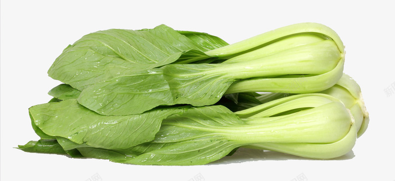 油菜特写png免抠素材_88icon https://88icon.com 实物 小油菜 干净 油菜特写 清新 绿色 蔬菜 青菜 香菇油菜