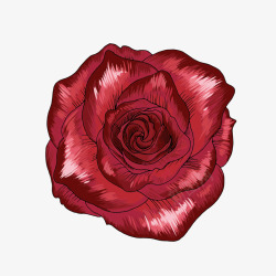 红色玫瑰矢量图素材