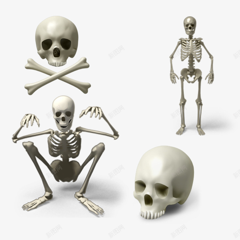 骷髅骨头png免抠素材_88icon https://88icon.com 3D打印 人头骨 恐怖骷髅人 骷髅模具