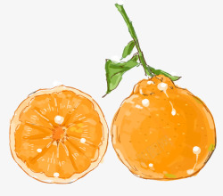 手绘丑橘水果元素素材