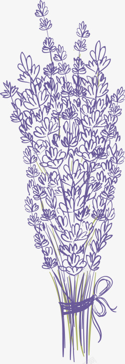 紫色手绘薰衣草矢量图素材